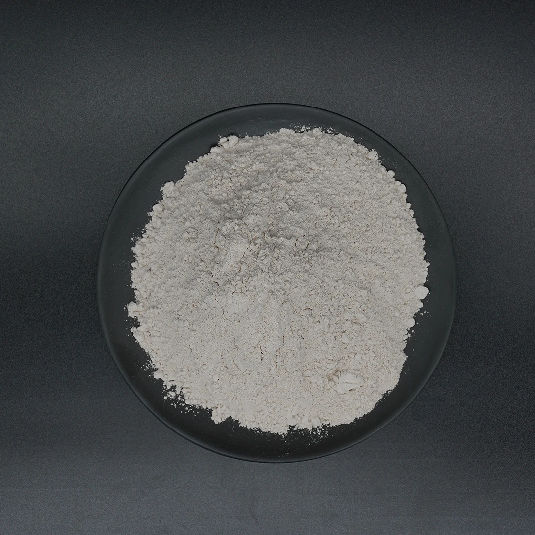 Factory Direct Sale Kieserite MgSO4 Fertilizer Magnesium Sulfate Monohydrate