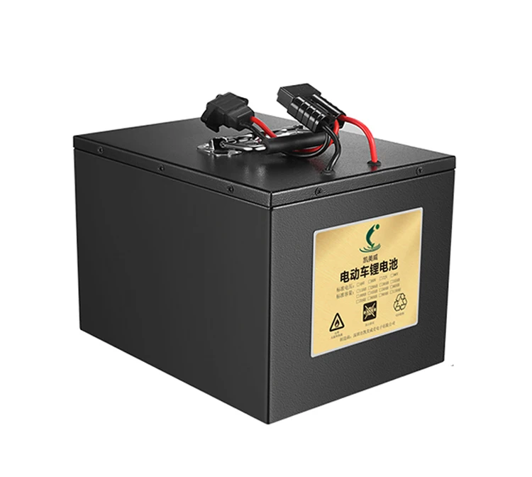 Customized 24V 36V 48V 52V 60V 72V30ah 40ah 60ah lifepo4 electric car battery 60 volt rechargeable lithium ion battery pack