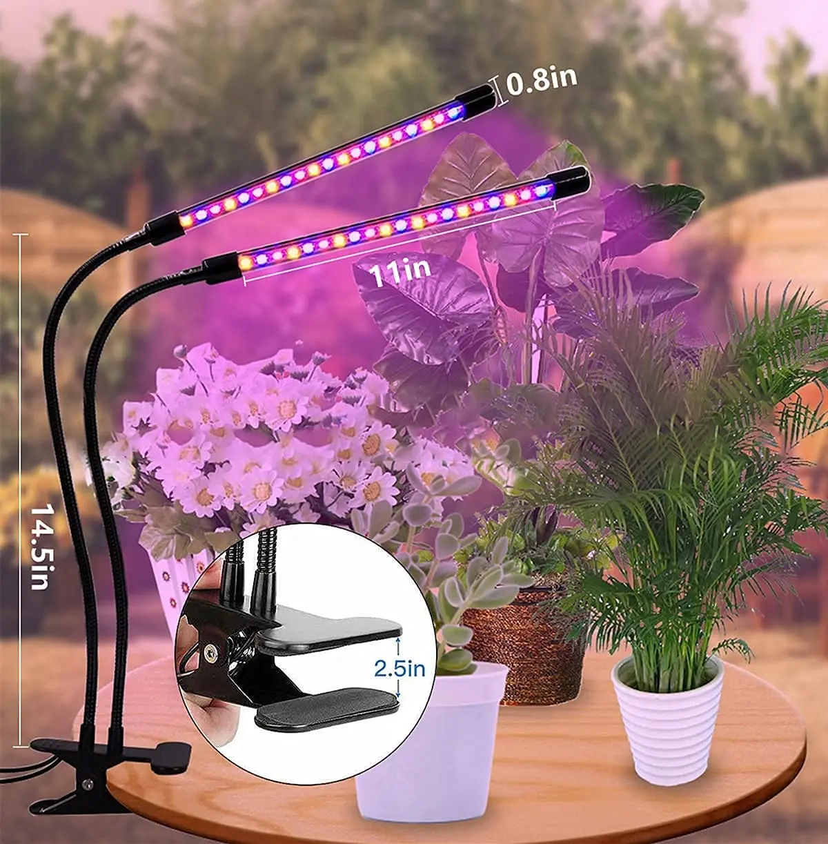 LED Grow Light USB Phyto Lamp Full Spectrum Fitolamp With Control Phytolamp For Plants Seedlings Flower Home Tent