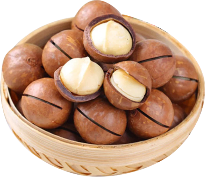  Хит продаж большие ежедневные орехи вкусные макадамии ручной