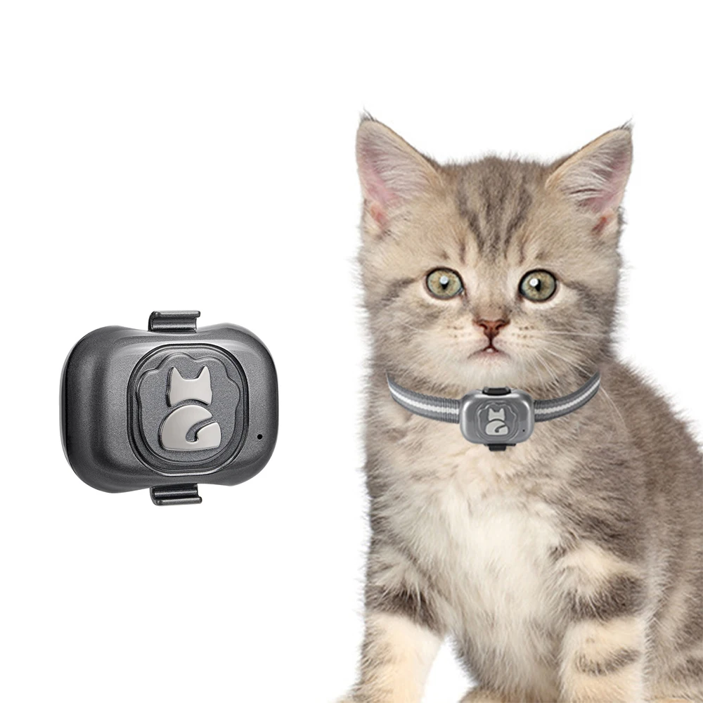 Rfid Pet Tag Id Animal Microchip  Gps Tracking Device For Pet Health Tracking  Chip For Tracking Pets