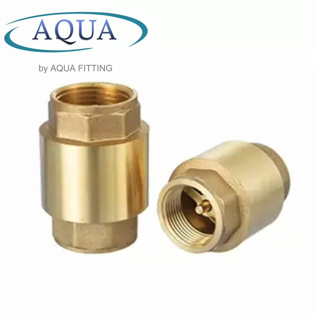 Brass Control Swing Globe Spring Check Valve
