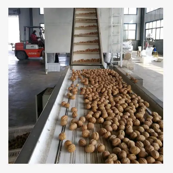  Тонкий; Приятные для кожи сырья 185 и xingfu грецкого ореха с оболочкой в оптовым ценам