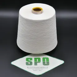 Golden Supplier SPO Sustainable Reeled Silk Yarn 2/60Nm Mulberry Raw Silk Yarn