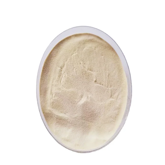 Cheap Price China Oyster Collagen Manufacturer Distributor Halal Peptide Powder