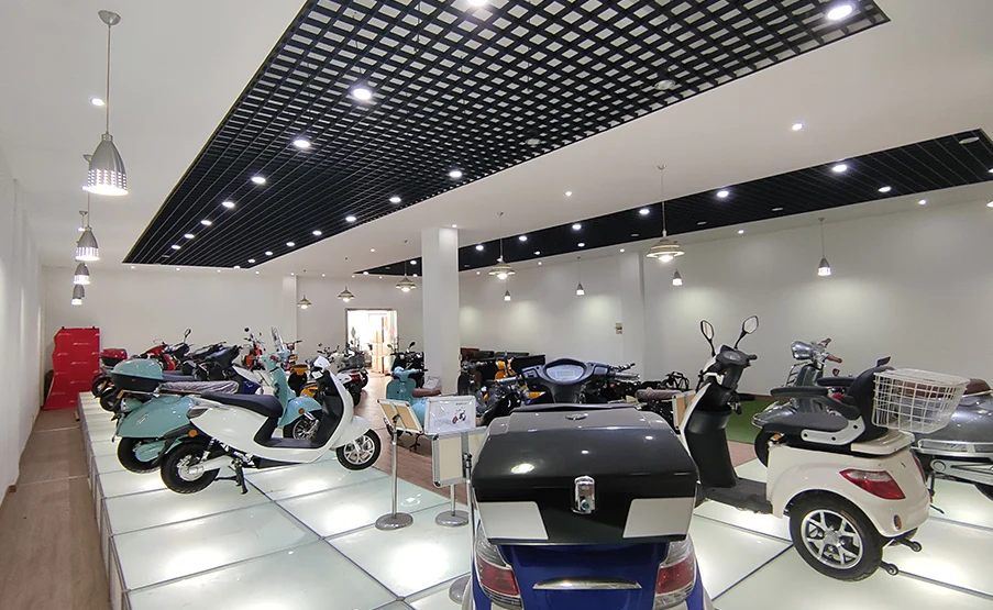 Street legal Electric Motorcycle/2 Wheeled High Speed Electric Scooter/Long Rang Adult Electric Moped