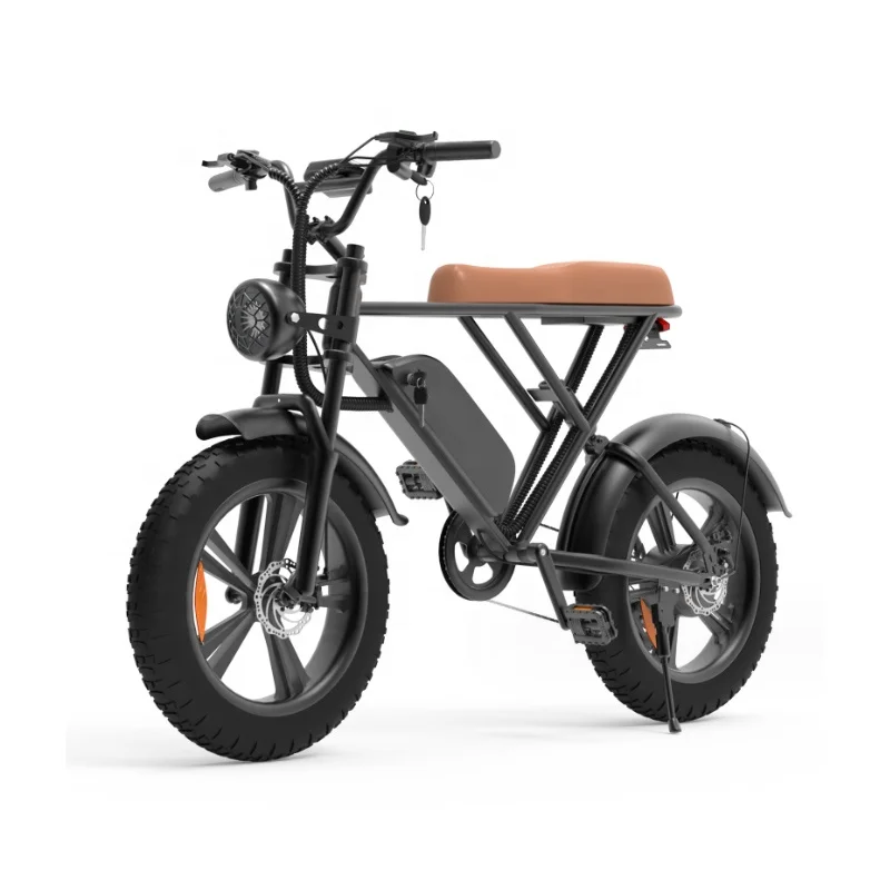 new energyelectric vehicle  by manufacturers/2023 two wheeled electric bicycles