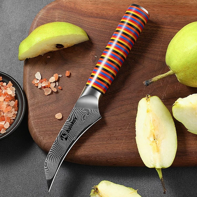 New Arrival Shogun Collection 67 Layer Japanese VG10 Steel  6 Piece Damascus Steel Kitchen Knife Set with Color G10 Handle