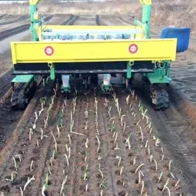 New Product 2 Row Transplanter Vegetable Transplanter Seedling Transplanter