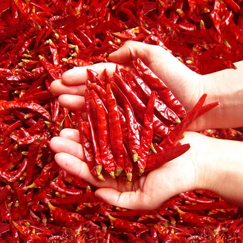 Sweet Paprika Red Dry Chili Hot and Spicy Whole Chili for Food Seasoning HACCP Certified Packaged in a Bag