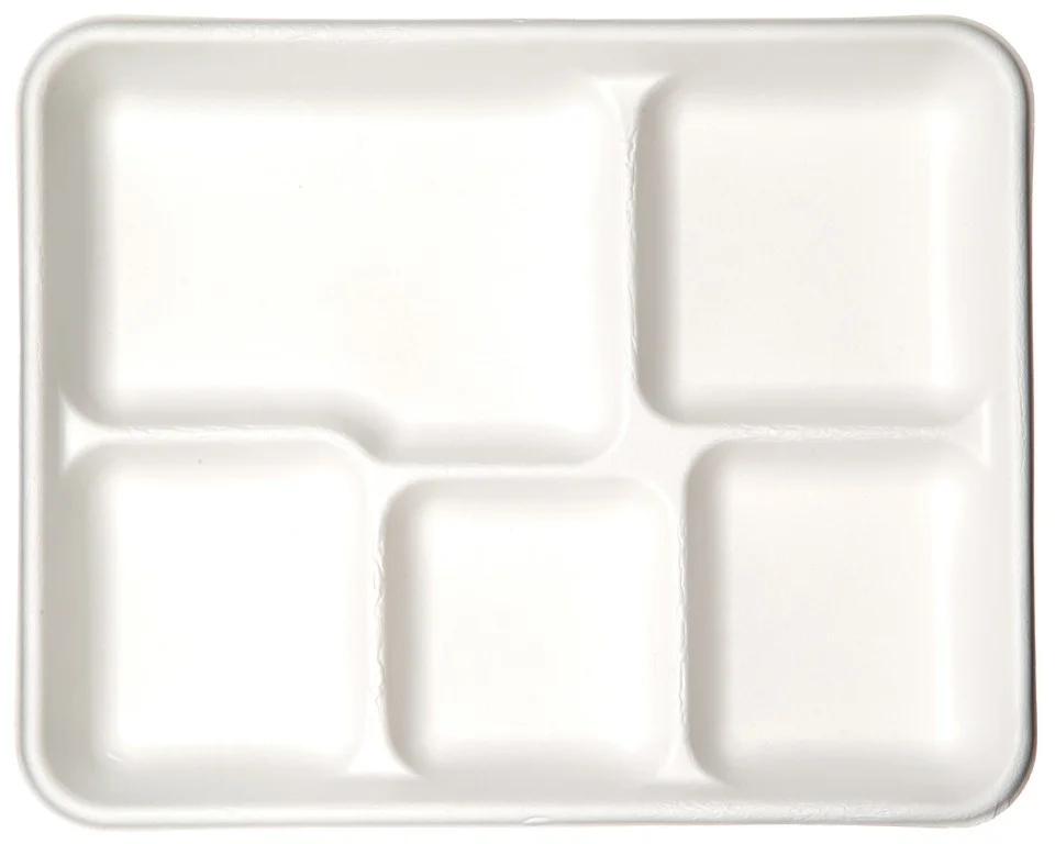 2022 Custom Food Grade Plastic Tray Vacuum forming Food ABS Plastic Serving Trays