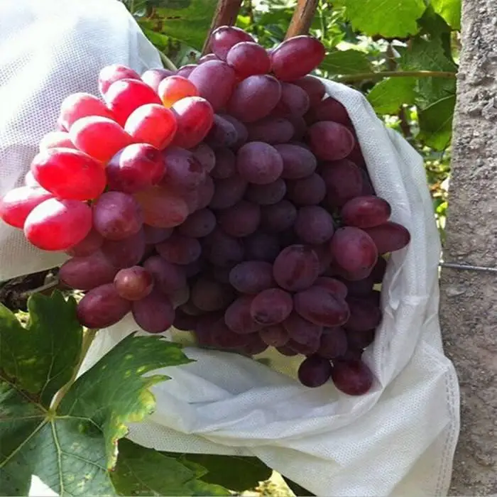 agriculture  pp spun bond fabric spun lace fabric non woven fabric for green house and  straw berry protective bag