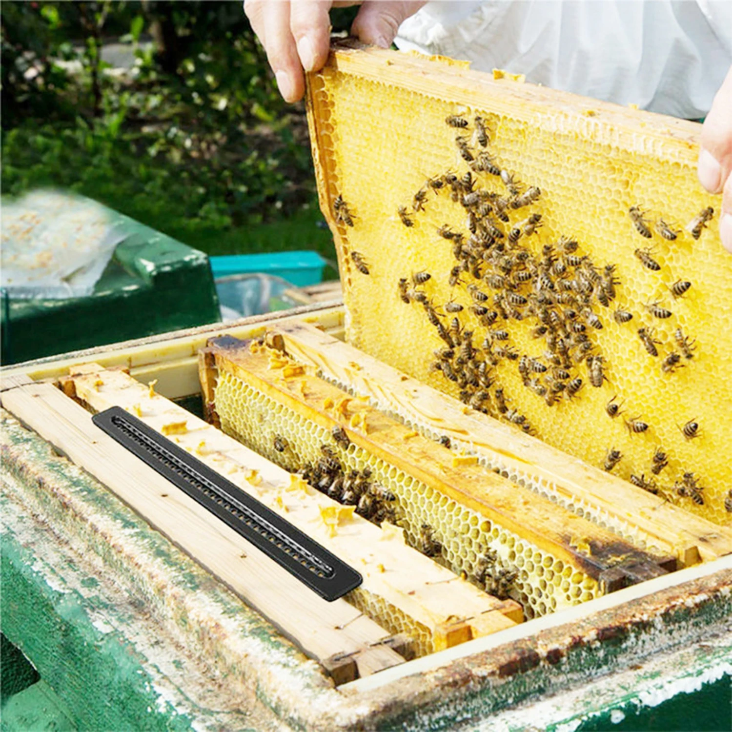 10pcs Plastic Hive Beetle Trap for Bee Hives Beekeeping