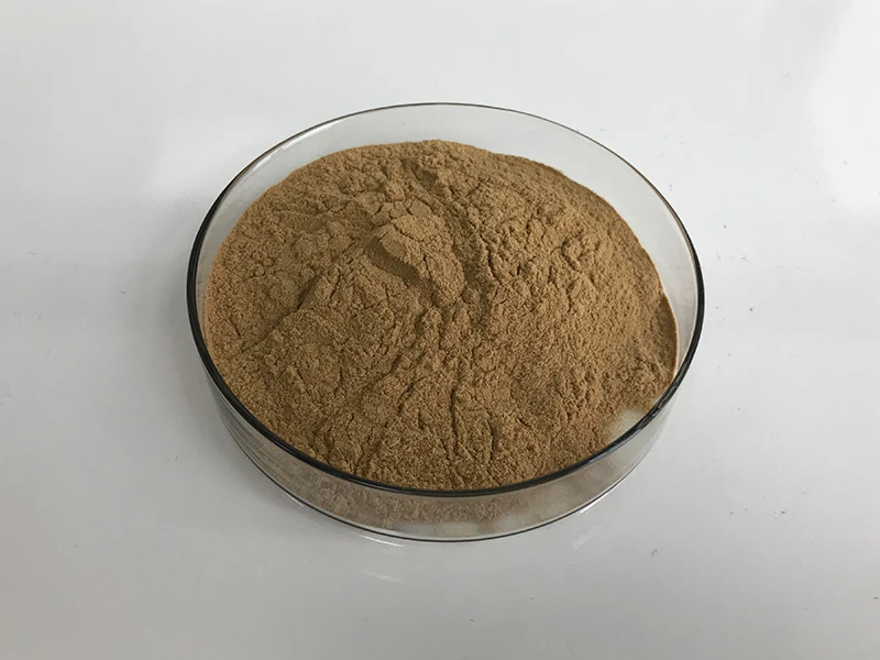 Insen Supply Natural Extract Fenugreek Seed Powder