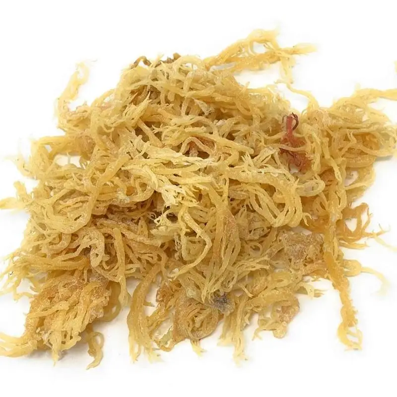 
Bulk quantity Dried Irish Sea Moss// Eucheuma Cottonii Seaweed  (62587615404)