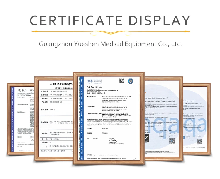 certificate display