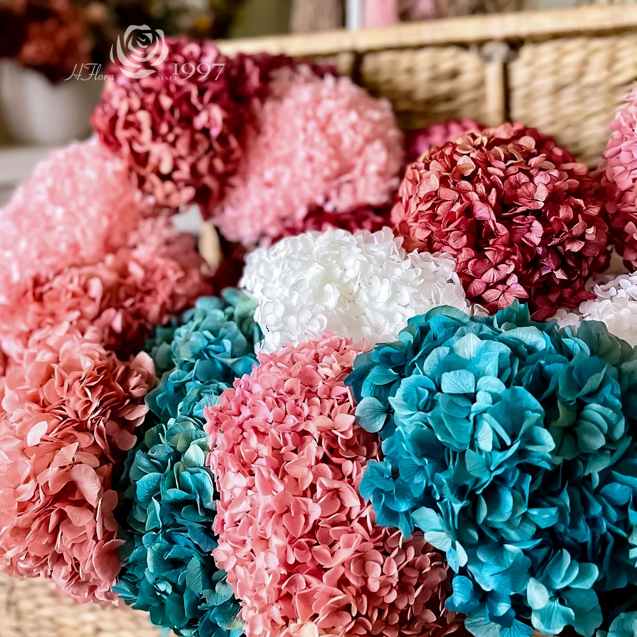 Hflora Factory Purple Pink Preserved Hydrangeas Flowers Wholesale Dried Hydrangeas preserved big leaf hydrangeas