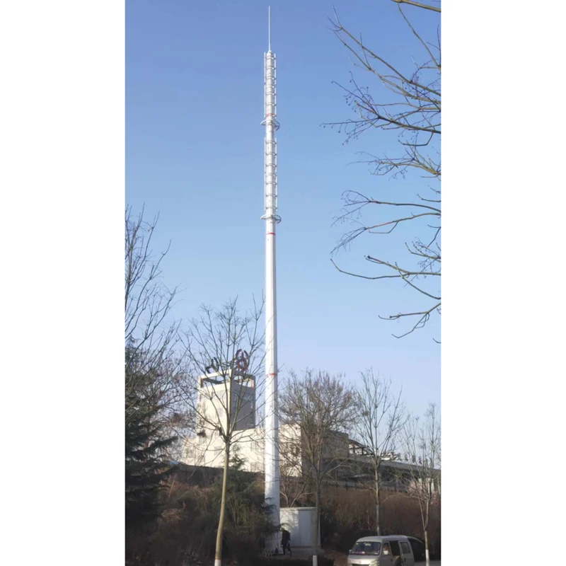 30m Galvanized Steel Single Mast Communication Antenna Mono Poles Cell Phone Radios Monopole Tower