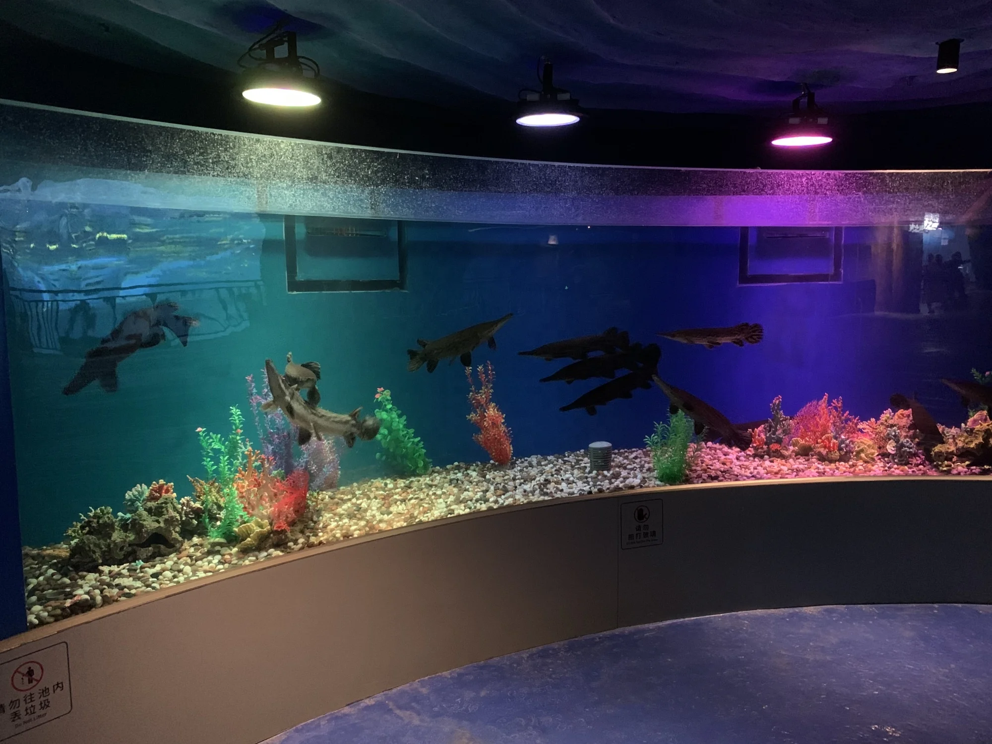 Factory Price Acrylic Sheet Aquarium Acrylic Aquarium Panel Project
