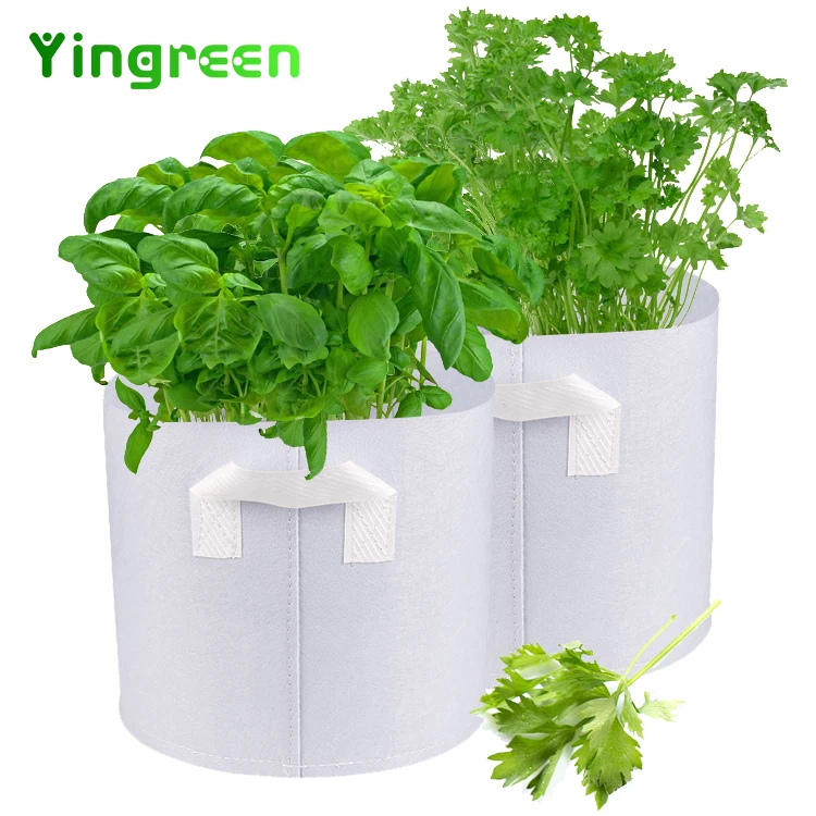 Customized Size 1 3 5 7 10 20 30 Gallon Garden Vegetable Mushroom Potato Non Woven Fabrics Pots Plant Grow Bags