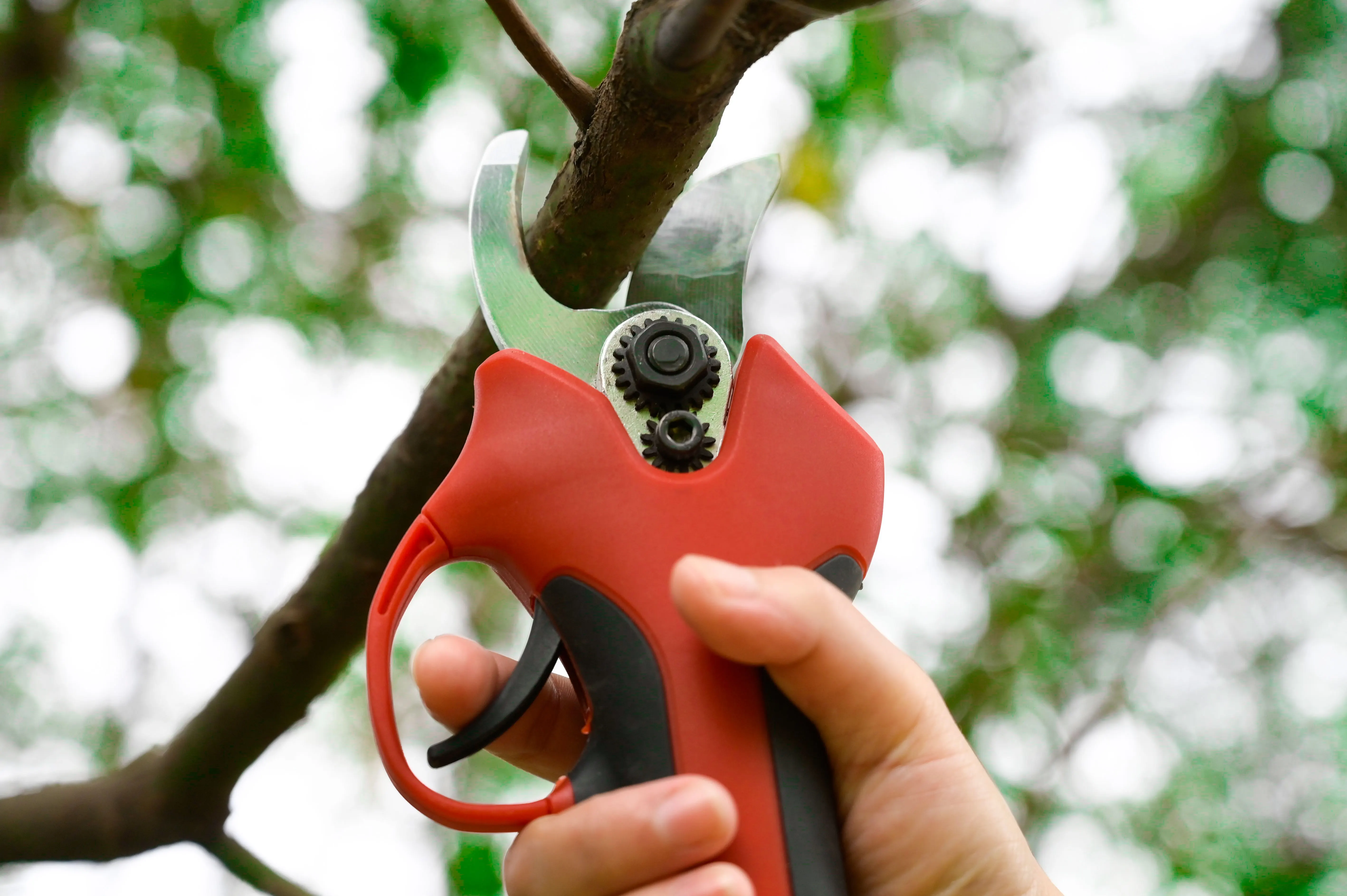 25mm cutting mouth cordless pruning shear high quality hot sale household garden tool