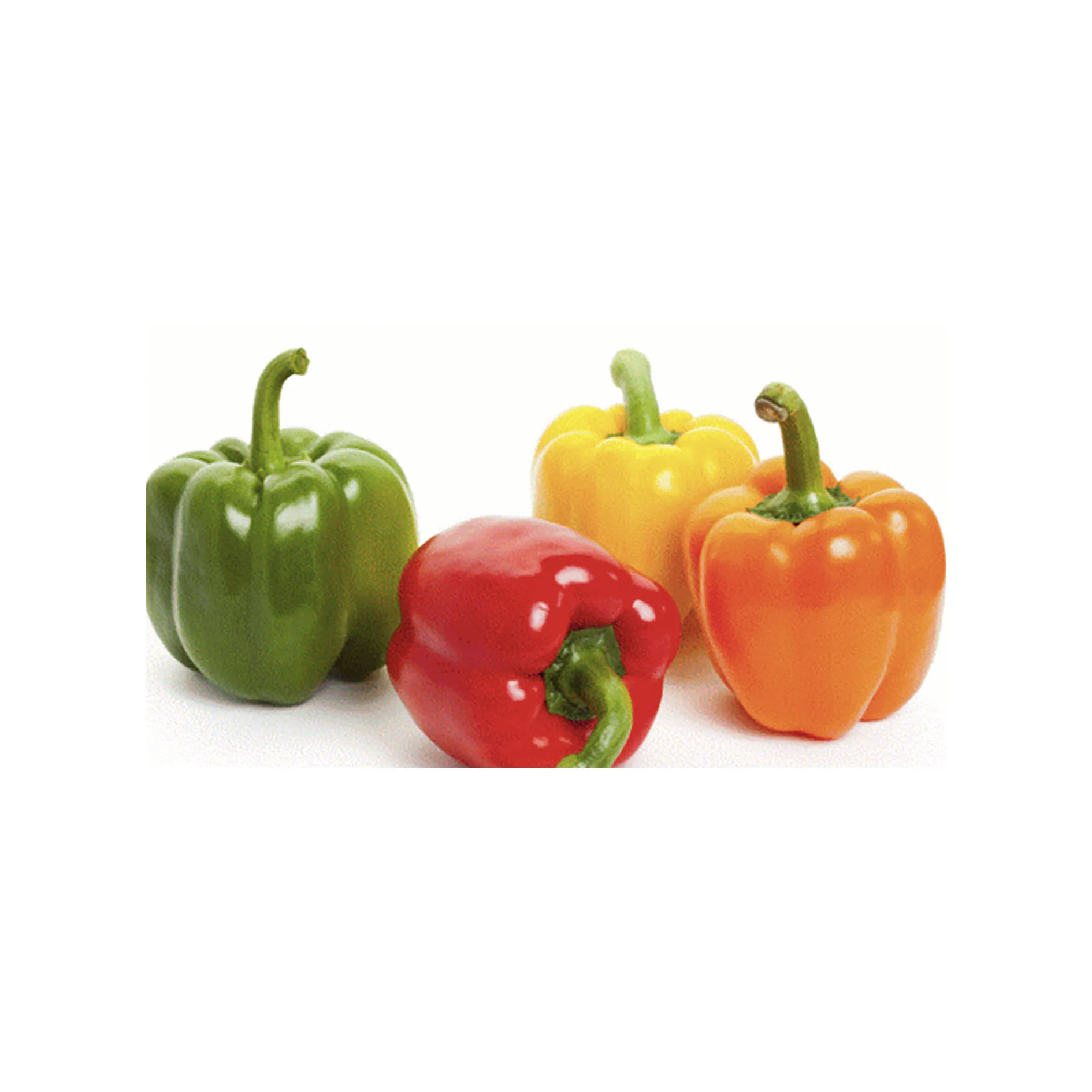 
Wholesale fresh capsicum square sweet green bell pepper prices 