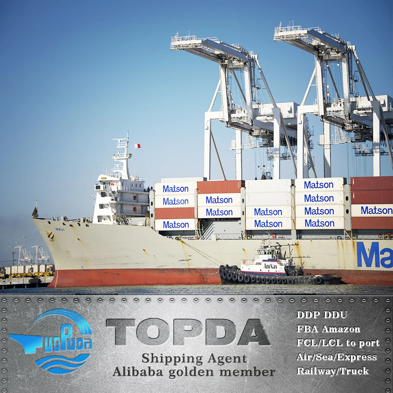 Cheapest LCL FCL Container Cargo Shipping Agent China to Italy Spain France USA Sea Ocean Freight Forwarder