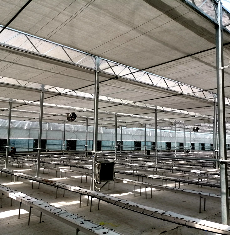 Serre agricole Plastic film greenhouse  system multi-span agricultural greenhouses for sale