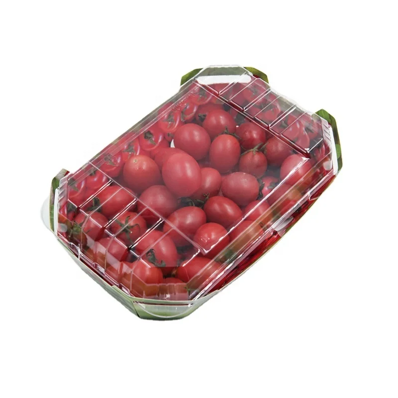 Disposable Fashion Strawberry Packaging Boxes  Cardboard  Box