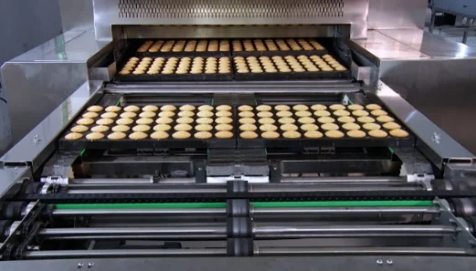 Transfer Conveyor for Cake Production Line