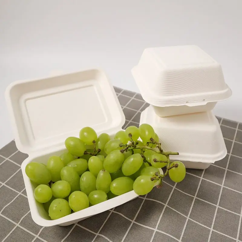Wholesale Disposable Bagasse Food Meal Containers With Lid 7 x 5 Inches Biodegradable Bagasse Pack of 50 Pcs