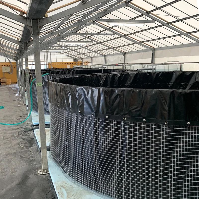 Customizable Fish Tanks For Sale Agriculture Plastic Irrigation Water Tank Large Fish Tank Material Aquaculture