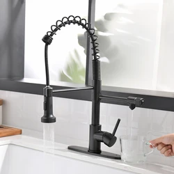 Swivel Filter Matte 3 Way Flexible torneira cozinha grifo giratorio 360 Pull Out Black Sink Water Faucets Tap Kitchen Faucet