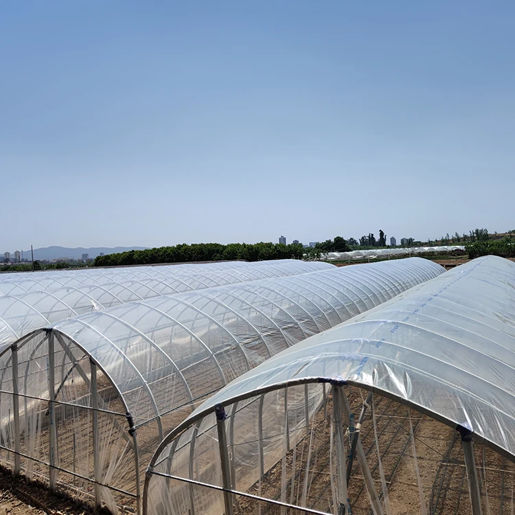 High Quality 200 Micron UV Resistant Clear Plastic Greenhouse Film Large UV Plastic for Greenhouses and Plastic Sheds