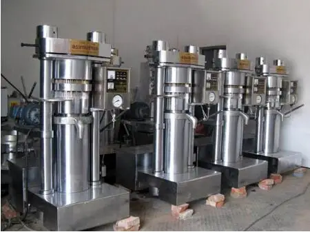 Automatic Hydraulic Sesame Oil Filter Hydraulic Coconut Peanut Oil Press Machine