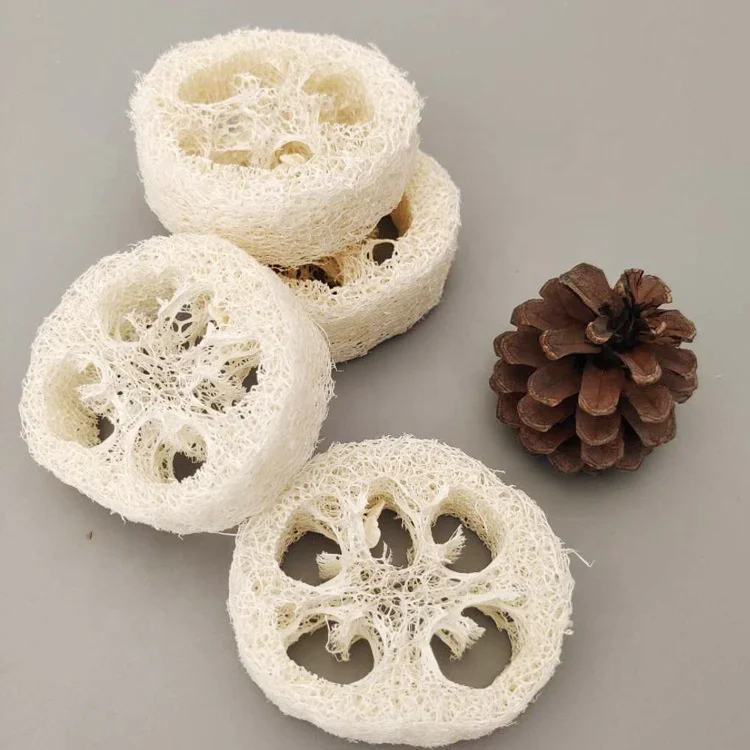 Natural Exfoliating Bleached Luffa/Loofah Sponge Slice Cuts Loofah Soap Making Holder