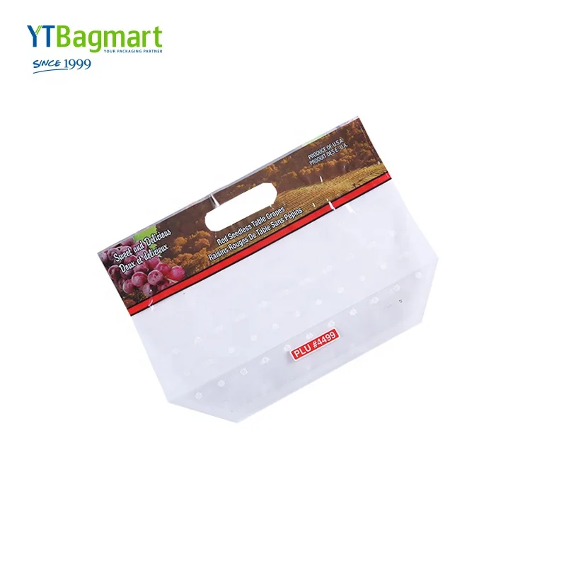 Food Grade Zipper Frozen Laminated Plastic Bag For Fruit And Vegetable