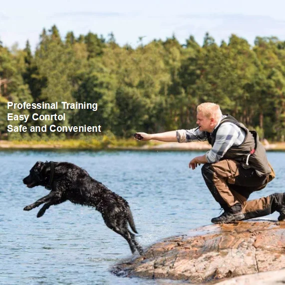 Small Medium Large Pet Training Collar Rechargeable Rainproof Remote Control Dog Trainer  With 3 Modes