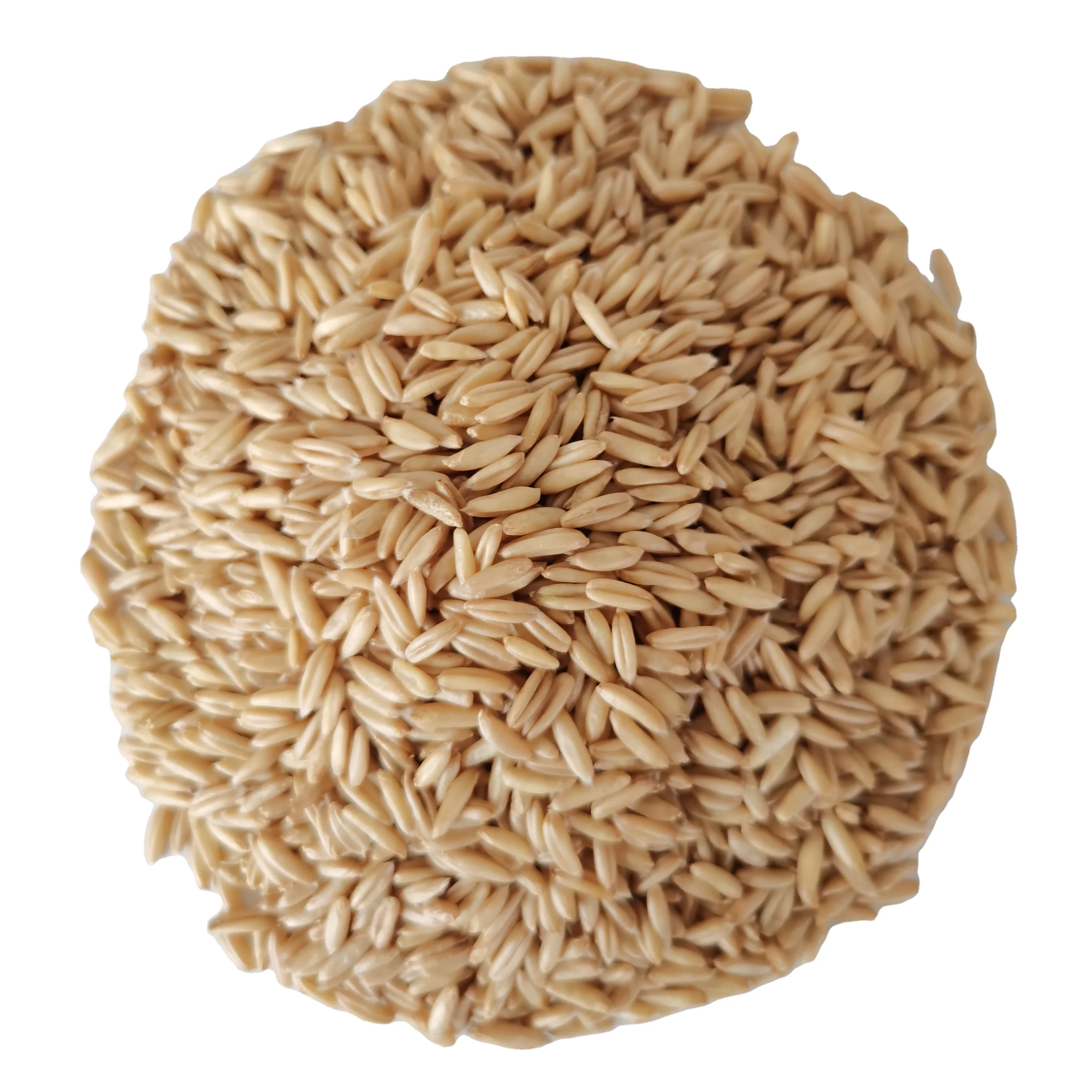 
Cheap And High Quality 450g Resistant To Hunger Dark Gold Naked Oats 