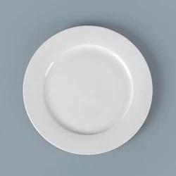 Striking & Trendy Coupe Plate White Porcelain Ceramics Round Plate Coupe Plate for Restaurant