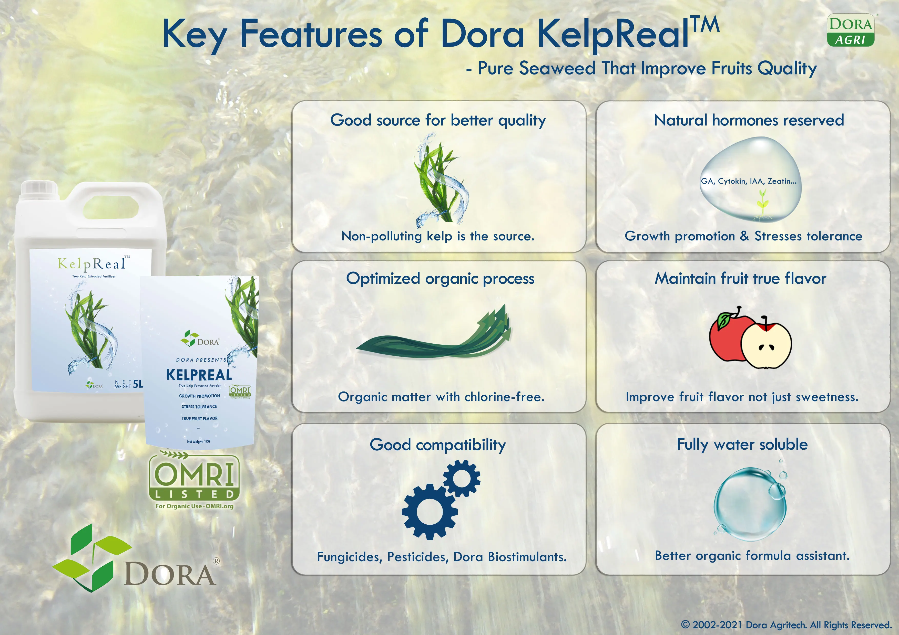 Fast Effect Seaweed Fertilizer 100% Water Soluble Fertilizer Foliar Fertilizer Super Sargassum (genus of kelp)