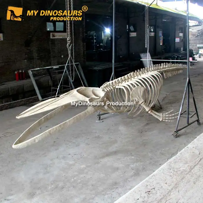 My Dino A543 реалистичный Скелет морского животного синего Кита для