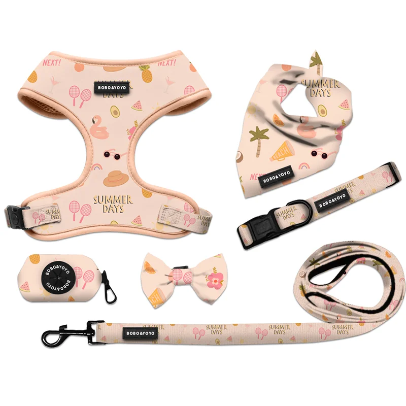 Personalized High Quality Luxury Escape Proof Breathable Mesh Neoprene Cat Pet Dog Harness Leash Lead Collar Set