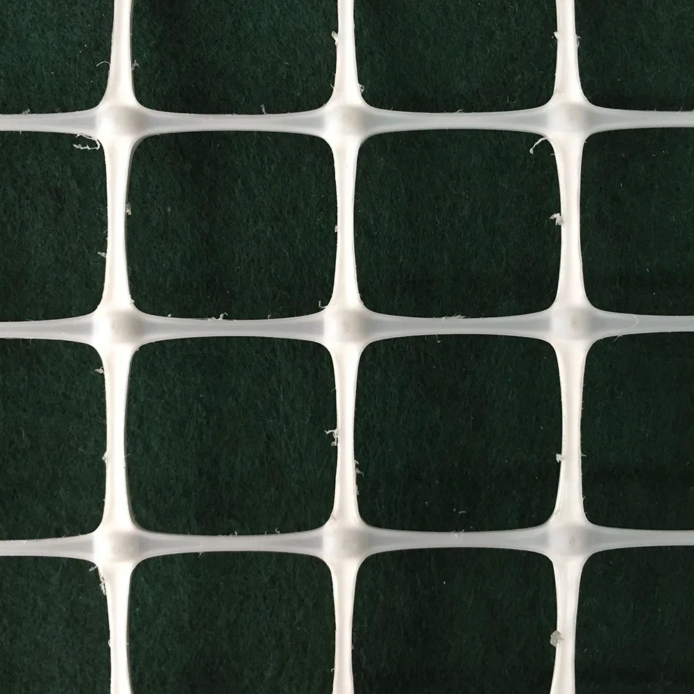 Двухосная георешетка для стабилизации гравийной поверхности, Двухосная георешетка для подкласса для усиления