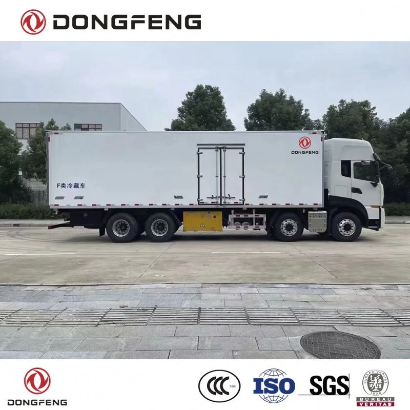 Dongfeng LHD and RHD delivery van prices frozen refrigerated truck body