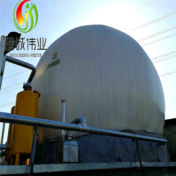 China Long lifetime PVC biogas balloon Storage Double membrane bio gas holder