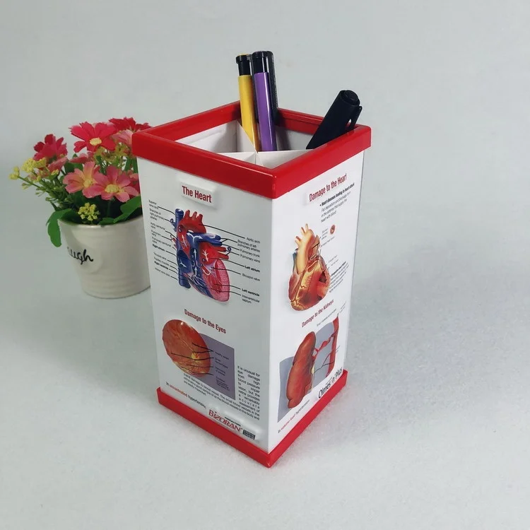 Medical promotion gift anatomy Pen Holder 3d embossed pvc plastic penholder