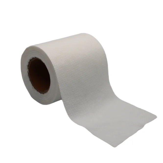 Low Price Wholesale 100% Polyester Spunlace Colour Non-Woven Fabric For Home Textile non-woven fabric roll