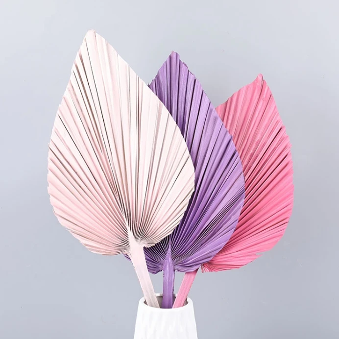 Palm Leaf Dandelion Fan Iron Leaf Eternal Life Flower Wedding Home Decorative Okra Spray Paint Dried Plants & Flowers