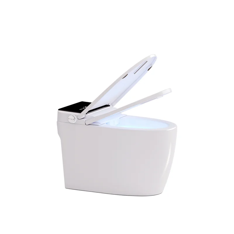 Manufacturer Bathroom Sanitary Ware Closestool Floor Mounted Smart Toilet Bowl Shower Toilet for bathroom